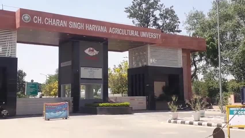 हिसार: हरियाणा कृषि विश्वविद्यालय में आतंकवादी विरोधी दिवस पर कर्मचारियों को दिलाई गई शपथ #कुलपति