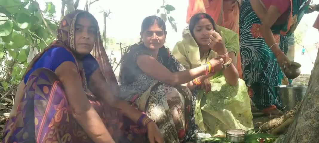 रामपुर नैकिन: रामपुर नैकिन अंचलों में सोशल डिस्टेंसिंग का पालन करते हुए मनाया गया वट सावित्री व्रत #वट_सावित्री #धर्म