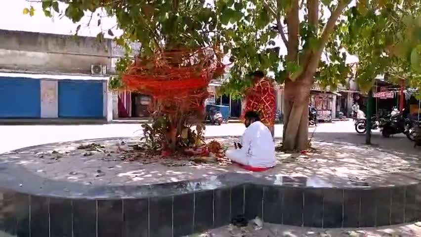 अंबिकापुर: अम्बिकापुर में की गई वट सावित्री पूजा, पति की लंबी उम्र के लिए महिलाएं करती है पूजा #वट_सावित्री #धर्म