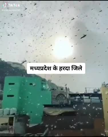 झांसी: #coronafightindia #corona_update#corona_update #indiacorona