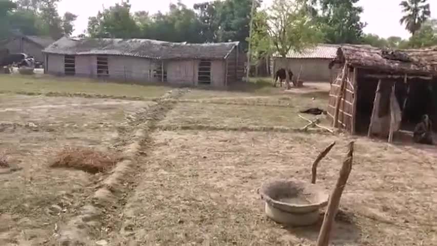 मधुबनी: भगवानपुर में असहाय लोगों की जमीन पर दबंगो ने किया कब्जा, शिकायत के बावजूद नहीं हुई कार्रवाई #जमीनी_विवाद