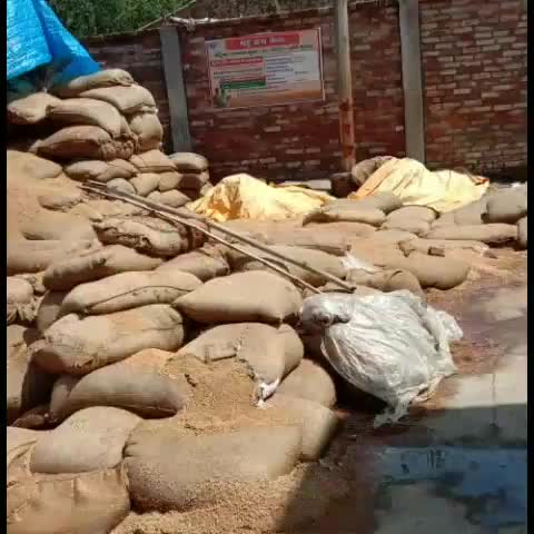 चुनार: भुइली क्रय केंद्र में 6296 क्विंटल धान का नहीं हो सका उठान, सहायक आयुक्त ने मिल मालिकों व सचिव को जारी किया नोटिस #नोटिस