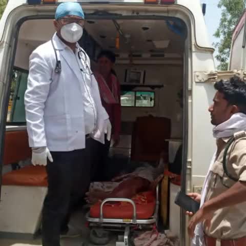 सोहागपुर: गोपाहरु थाना क्षेत्र में मवेशी चराने गए वृद्ध पर भालू ने किया हमला, घायल अवस्था में पहुंचाया जिला अस्पताल #हादसा #भालू