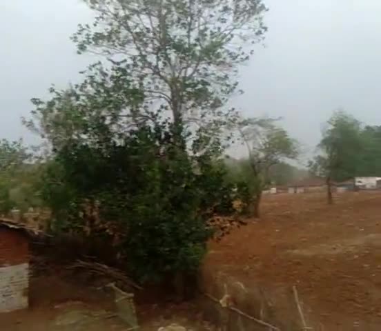 शहपुरा: #Mausam
#barish ﻿#newsnation #newsreports ﻿﻿﻿#raghuwanshideeksha7 #news18india