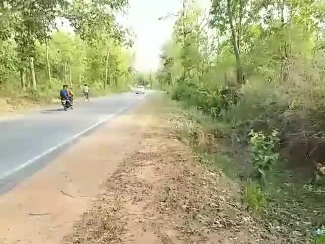 बिंद्रानवागढ़ गरियाबंद: धबलपुर के इसी स्थान पर हुआ था पूर्व मुख्यमंत्री अजीत जोगी की दुर्घटना, जिसके बाद से रहते थे बीमार #अजीत_जोगी