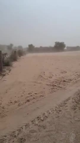 रतनगढ़: गाँव गोगासर में तेज हवा के साथ उड़ती धूल #गोगासर #रतनगढ़