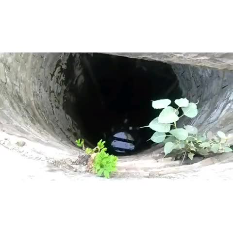 गुनौर: टिकरिया ग्राम में गहराया पेयजल संकट #जलसंकट