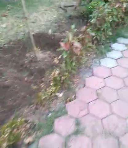 इंदौर: लोकडाऊन के चलते सुखलिया डी एम सेक्टर में रहवासी कर रहे है गार्डनों के देखरेख﻿ #indiafightscoron #mpcglivenews