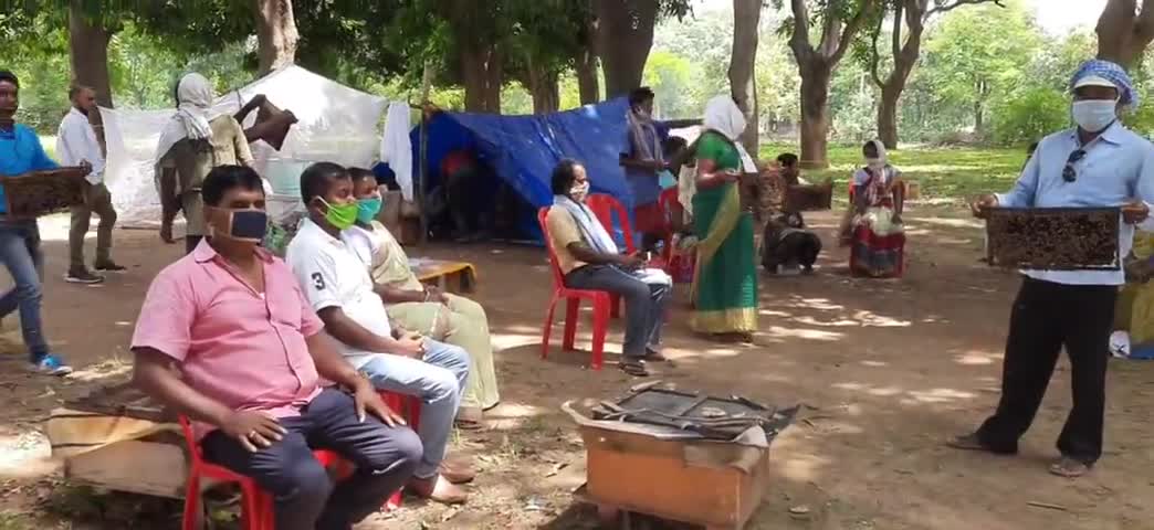बसिया: बसिया में 40 बेरोजगारों को दिया गया मधुमक्खी पालन का प्रशिक्षण #मधुमक्खी_पालन