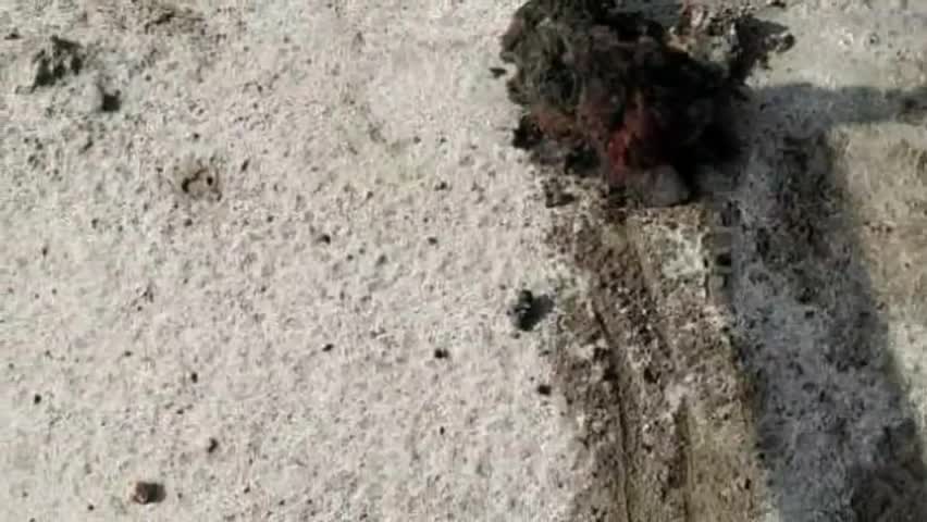 कटघोरा: कुसमुंडा खदान में डंपर और मशीनों को असामाजिक तत्वों ने लगाई आग, सुरक्षकर्मियों ने बुझाई आग #आग #खनन_विभाग