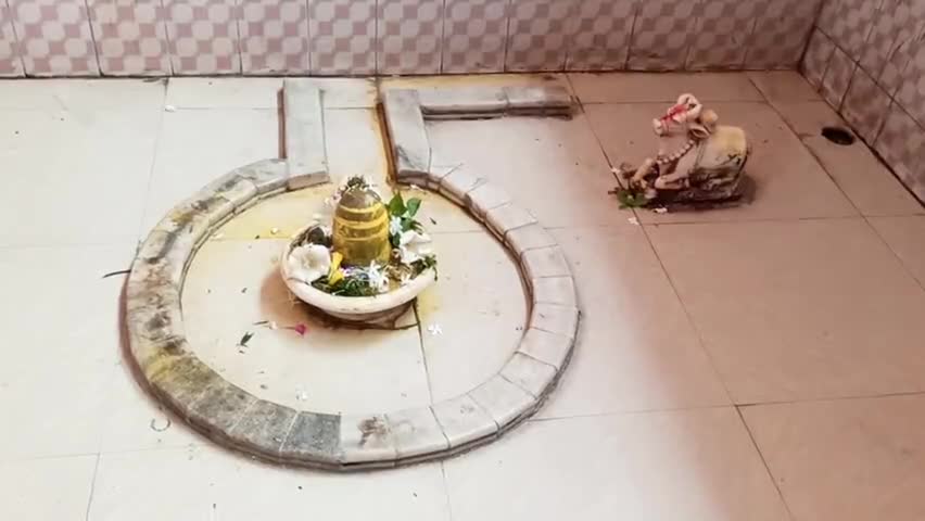मधुबन: मधुबन में निर्जला एकादशी व्रत पर लोगों ने की भगवान विष्णु की उपासना  #निर्जला_एकादशी #धर्म
