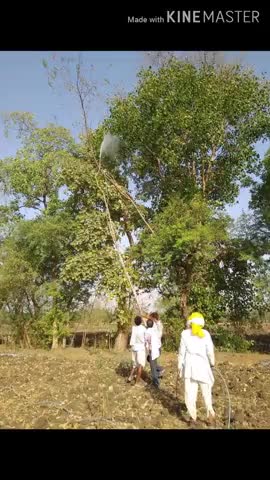 खिलचीपुर: छापीहेड़ा क्षेत्र में भी टिड्डी दल ने दी दस्तक, कृषि विभाग की टीम टिड्डी दल से बचाव के लिए युद्धस्तर पर जुटी #कृषि_विभाग