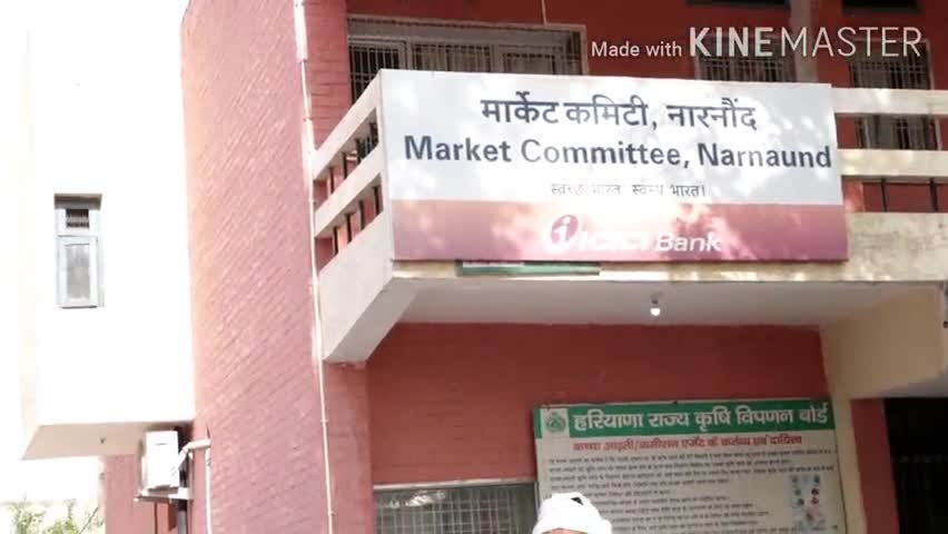 नारनौद: एफसीआई के एमडी आरएस मीणा ने नारनौंद की अनाज मंडी का किया दौरा #fci #md