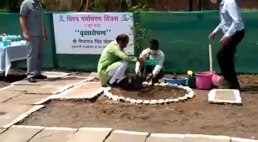 #shivrajsinghchouchan  
विश्व पर्यावरण दिवस के अवसर पर मुख्यमंत्री श्री शिवराज सिंह चौहान ने पौधारोपण किया