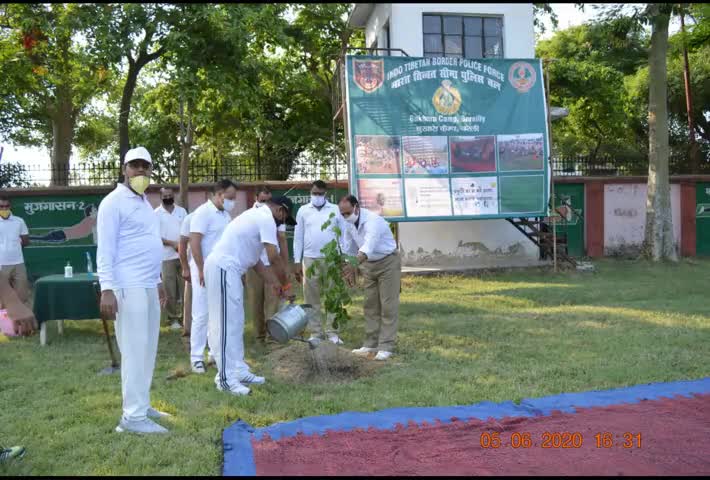 बरेली: बुखारा ITBP कैंप में विश्व पर्यावरण दिवस पर अधिकारियों ने जवानों के साथ किया वृक्षारोपण #itbp