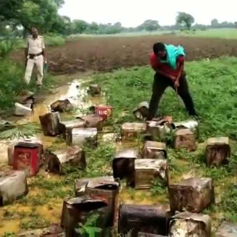 मानसी: मंदरा धार में छापेमारी कर पुलिस ने जब्त की 25 लीटर अवैध शराब, नष्ट की भट्ठियां #शराब_बंदी
