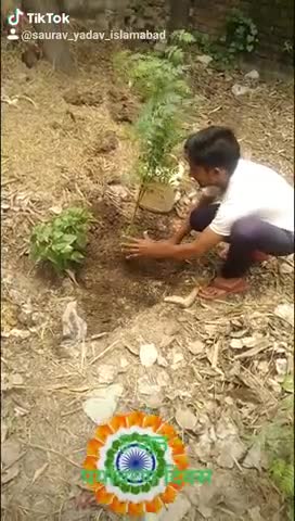 आंवला: 5 जून पर्यावरण दिवस के मौके पर ब्रक्षारोपण
इस्लामाबाद आंवला बरेली﻿@#environmentday