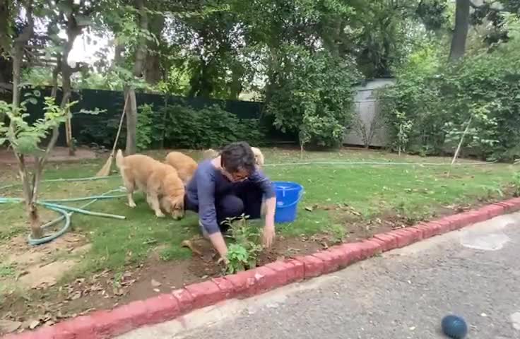 #worldenvironmentday2020