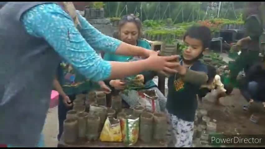 मनाली: राधा एनजीओ ने पर्यावरण दिवस के अवसर पर तैयार किए 1500 बीज के बॉल, लगाए एक हजार पौधे #पर्यावरण_दिवस
