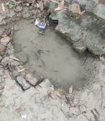 दलसिंहसराय: ये पगरा पंचायत के वार्ड नंबर 10 दलसिंहसराय का है । इस पंचायत में सरकारी योजनाओं में भयानक लूट मचा हुआ है ।#पगरा