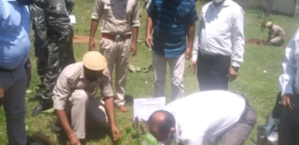 खूंटी: जिला व्यावहार न्यायालय प्रांगण खूंटी में किया गया पौधरोपण #पर्यावरण_दिवस #पौधरोपण