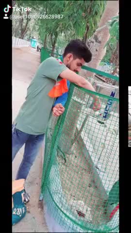 दौसा: #बेजुबान हमारी जान 
अलीबाबा जिला उपाध्यक्ष एनएसयूआई दौसा
