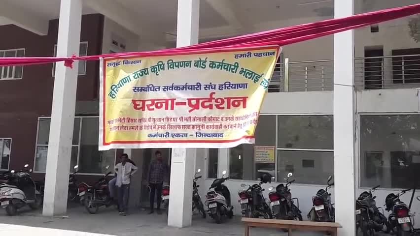 हिसार: नई अनाज मंडी में मार्केट सचिव के समर्थन में किसान सभा व सर्व कर्मचारी संघ के सदस्यों ने लगाया धरना #धरना #सोनाली_फोगाट