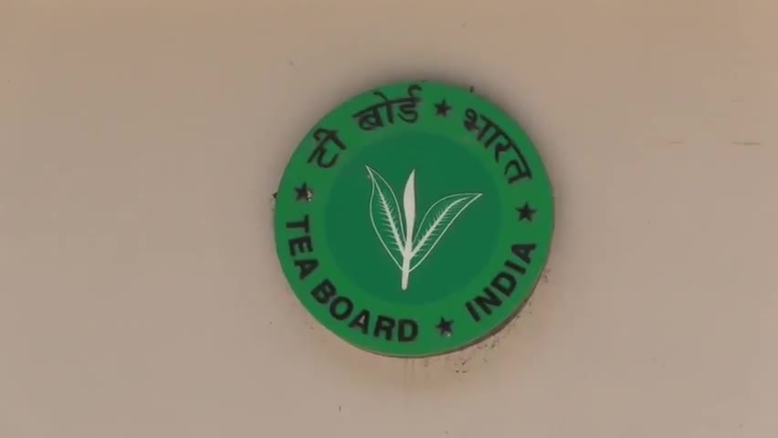 पालमपुर: कोरोना महामारी के दौर में टी बोर्ड की ओर से #कांगड़ा #चाय उद्योग को वित्तिय वर्ष 2019-20 के तहत दो करोड़ की ‘संजीवनी‘