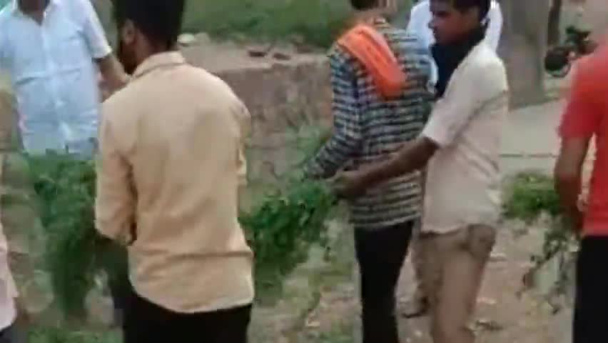 नैनवां: करवर में भाजपा ज़िला अध्यक्ष के जन्मदिन पर भाजपा कार्यकर्ताओं ने वितरित किए फल एवं पशुओं को डाला चारा #जिला_अध्यक्ष