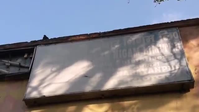 नारायणपुर: नारायणपुर में नहीं आ रहा BSNL का नेटवर्क, लोगों को हो रही परेशानी #बीएसएनएल