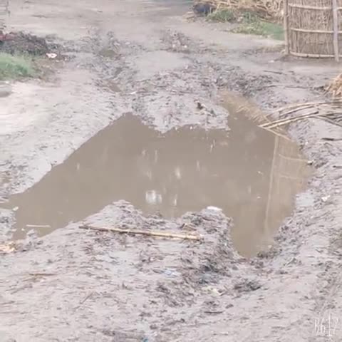 मधेपुरा: सकरपूरा से #सिंघेश्वर जाने वाली  सड़क की हालत काफी बेकार है इसपे नहीं मुखिया कुछ करता है ना ही सरकार ये हालत 20 वर्स से