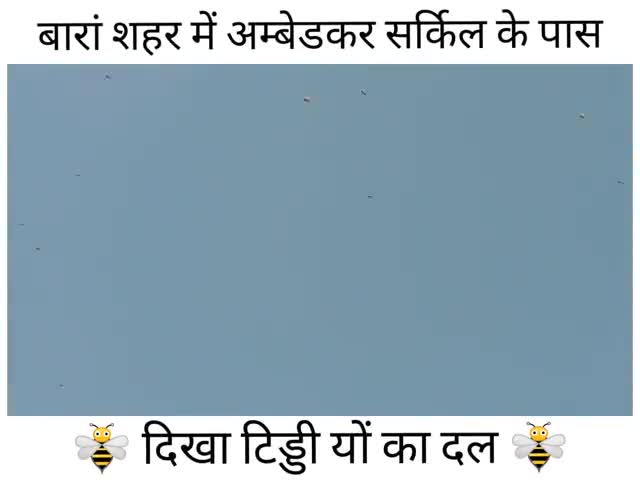 बारां: बारां शहर में करोड़ों को संख्या के दिखा टिड्डी यों का दल लोग हुए परेशान 🐝🐝🐝🐝#lockdowm ﻿