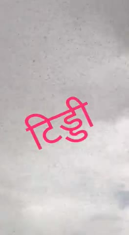 नागौर: नागौर में टीडी दलों का हमला जिसे किसानों की फसलों को बर्बाद कर दिया में राजस्थान सरकार इस पर जल्द कब्जा करें
#कोरोनो
﻿@