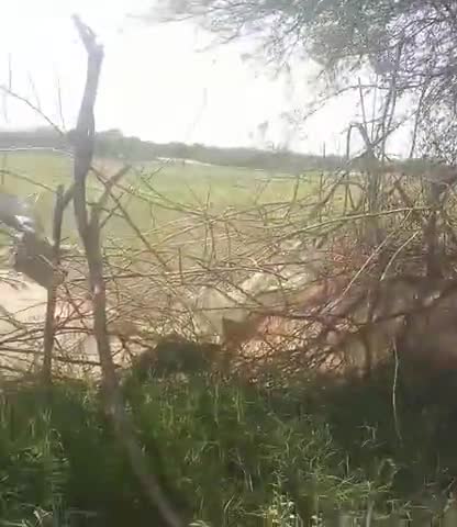 देेवगढ़: didiyo ka prkop 
#z
dxjxkxdjdjskaalalazdjddndjdjddjdjdkd