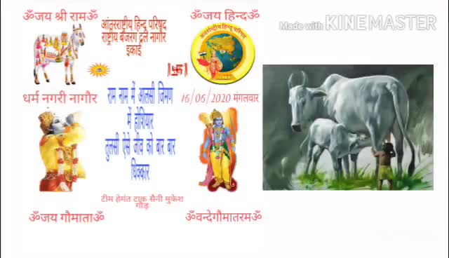 #अंतरराष्ट्रीय_हिंदू_परिषद नागौर इकाई द्वारा आज की गौसेवा जय श्रीराम सा🌹🚩🙏
