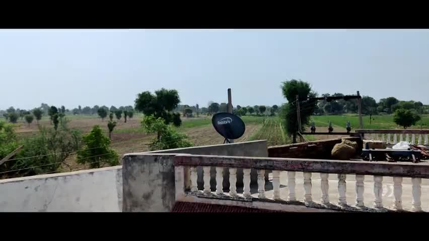 देसूरी: deoli pabuji me tiddi dal ka agman #palicharu 
#deoli