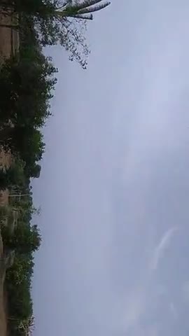 गढ़ाकोटा: #tiddi dal ka akramak hamla tiddi ko garhakota ke sanjra mein dekha Gaya