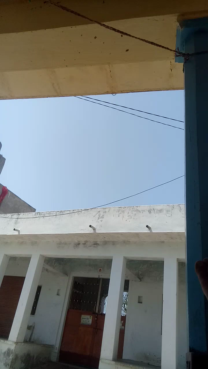 आमेट: टीडी दल पहुचा जिलोला
भारी मात्रा में हुआ किसानों को नुकसान
﻿﻿#जिलोला आमेट#rajsamnd