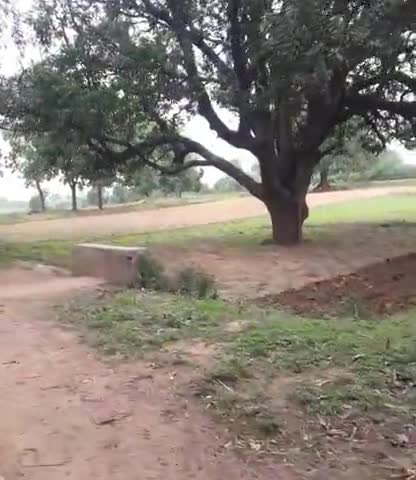 नरैनी: naraini#
Gram Panchayat Ranipur Kshetra Mein Dekha gaya hai #naraini