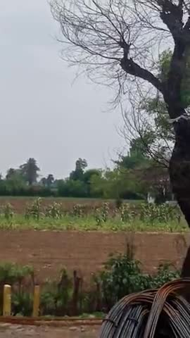 मक्सूदनगढ़: maksoodangarh tiddii dal madhusudangarh suthaliya road par 12 00 se 1:00 bje Tak rhi #tiddiii dal
