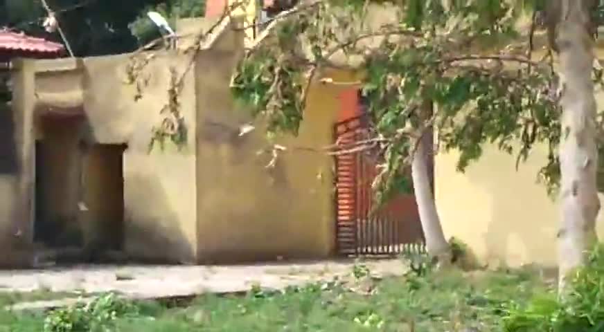 आज #मऊरानीपुर में हमारी दुकान #राजपूत_बीज_भंडार के बगल में सर्किट हाउस में #टिडी_दल का #हमला
