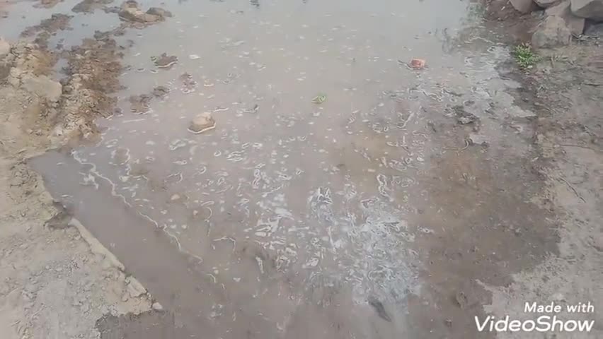 सोजत: चौपडा पंचायत के मुख्य बस स्टैंड के पास रोज व्यर्थ बहता है हजारों लीटर पानी #जलसमस्या