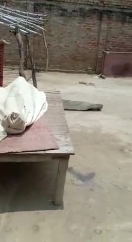 बिलग्राम: तेंदुआ गांव में शौच के लिए जा रहे एक व्यक्ति का पैर फिसलकर नाले में गिरने से हुई मौत #परिजनों में मचा कोहराम