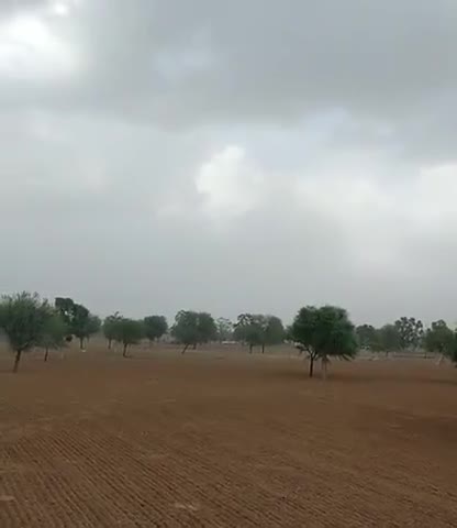 जयपुर: राजधानी जयपुर में धूलभरी आंधी 
#jaipur #aandhi #weather #jaipurrural ﻿#rajasthannews11 #news9tvnetwork