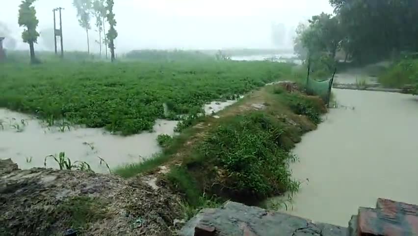 अकबरपुर: #कुदरत का कहर अम्बेडकर नगर kajariनन्दाpur me jab हुई तूफानी बारिश से कुछ fashal हुये nast