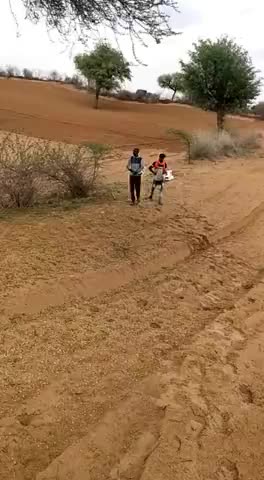 चूरू: #gaw ghantel me tidde dal ka hamla.gaw ghantel me (churu)