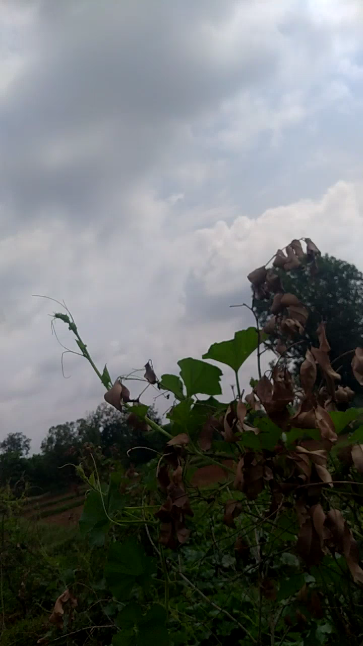 रीठी: #ra #jacqueline_fernandez ###kailashvijayvargiya #laddakh bx