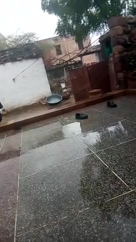 बिलारा: बिलाडा गाँव मै रियाँ सेढ़ो की पीपाड सीटी में हुई जोरदार हर बारिश और खेतों में  भी हुई बारिस हुई#लाइक कारो﻿@
