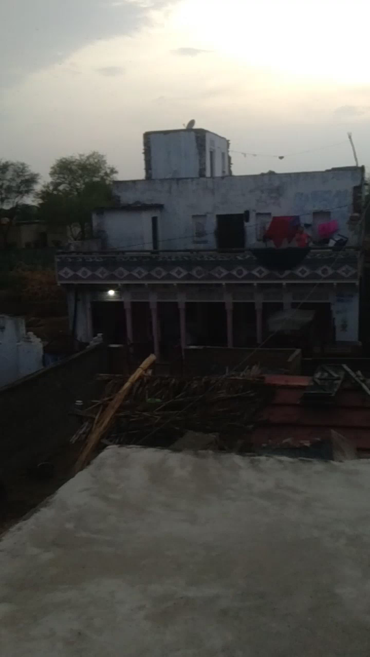 बामनवास: #सवाई माधोपुर जिले के #बामनवास नगर पालिका क्षेत्र के #बरनाला गाँव मैं #टिड्डीयो 
का बहार दल ने दोपहर 1 बजे हमला कर दिया