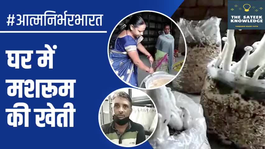 हुज़ूर: #मशरूम  |  घर में मशरूम की खेती.